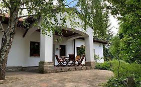 Bivaly Tanya